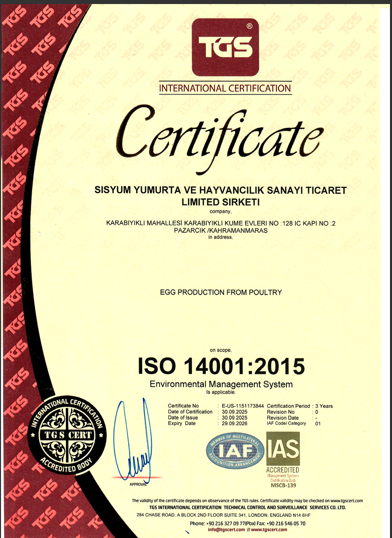 ISO 14001 Çevre Yönetim Sistemi Sertifikası
