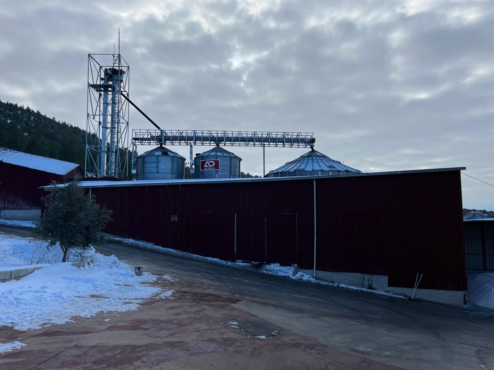 Sisyum Yumurta Yem Tesisi